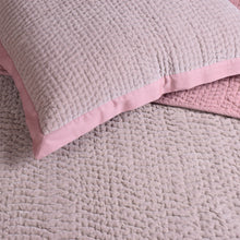 Load image into Gallery viewer, Blush Rose Velvet Reversible Quilt