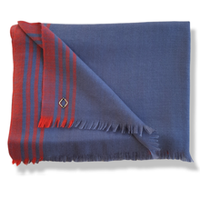 Load image into Gallery viewer, ERUS Pashmina Shawl