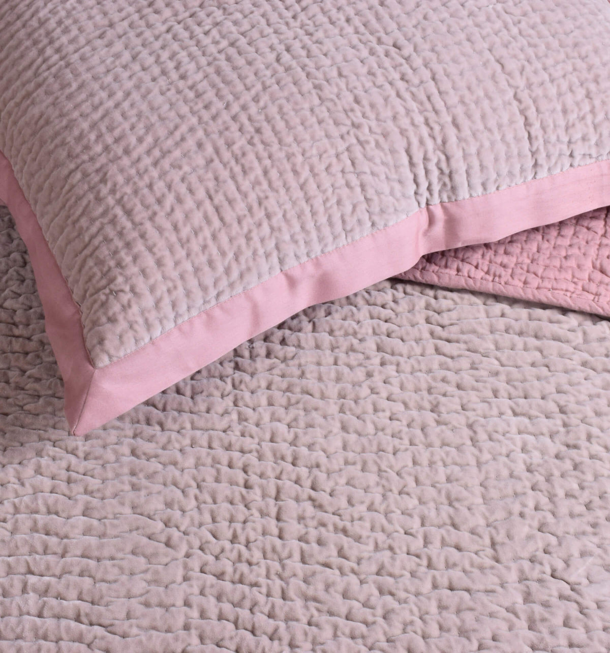 Blush Rose Velvet Cushion