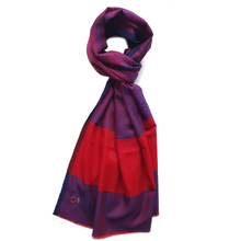 Load image into Gallery viewer, AMYR Pashmina Scarf

